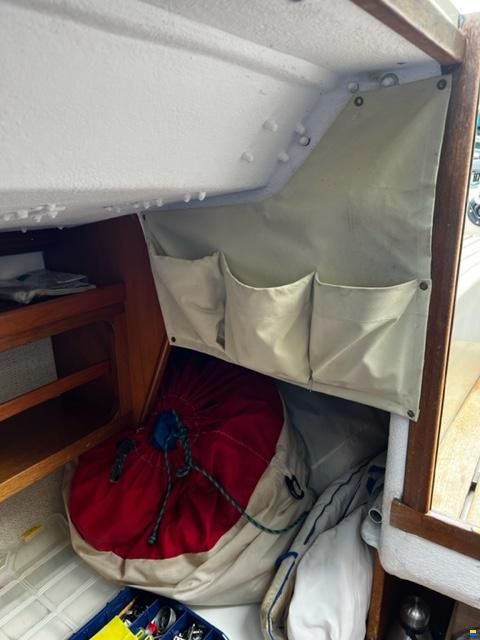 Bianca APHRODITE 101