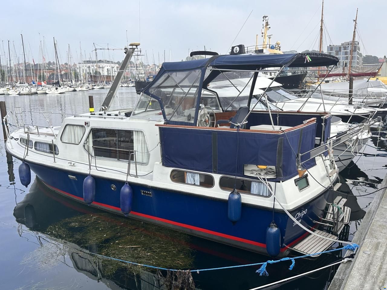 Neptunus 107