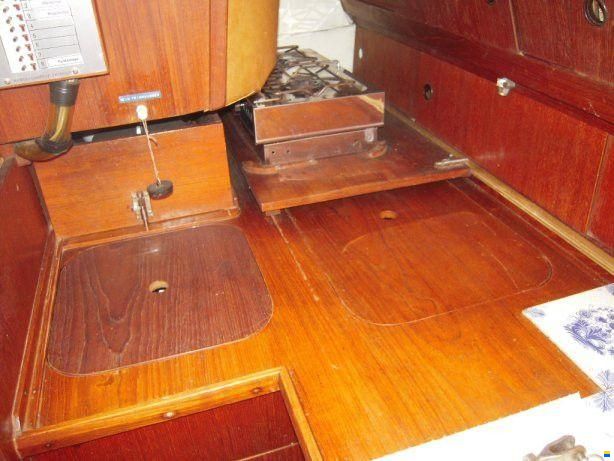 Neptun 31