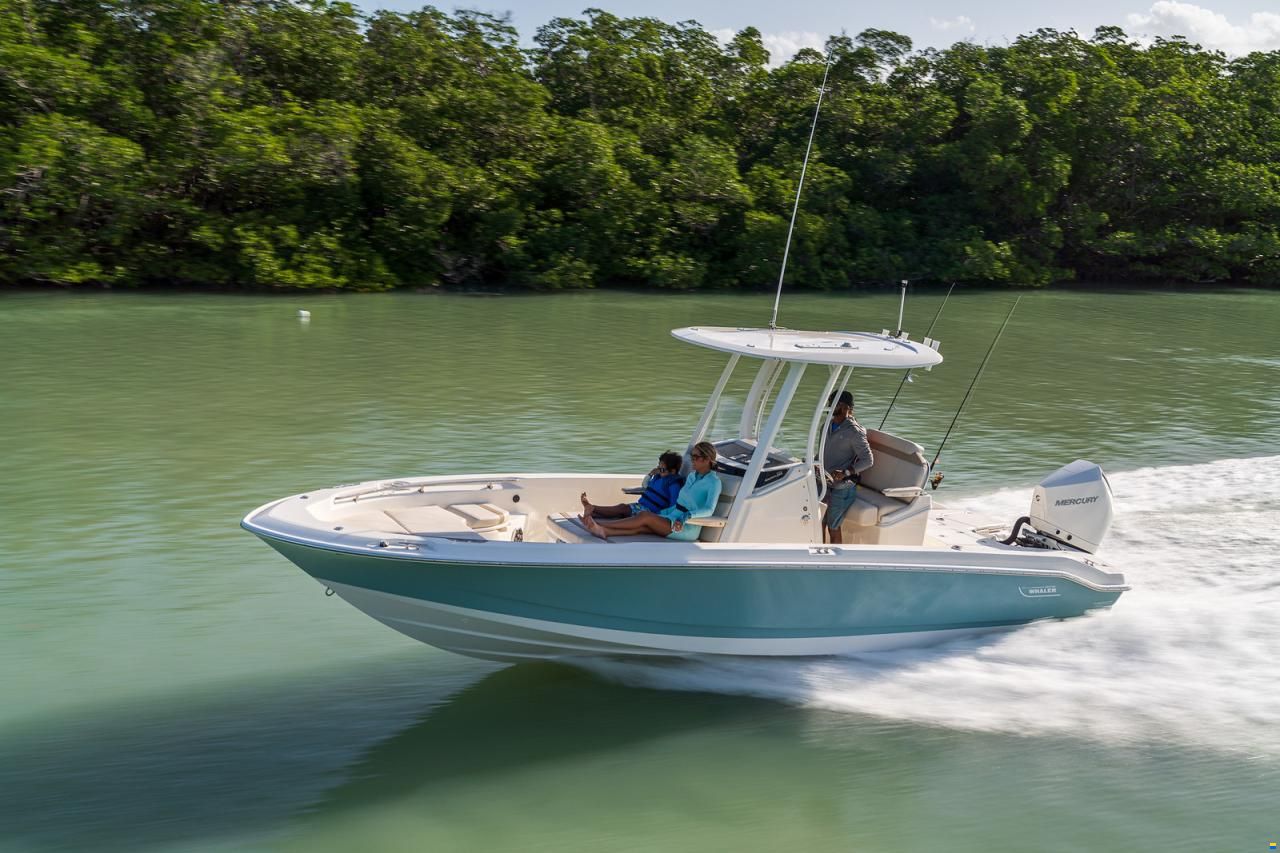 Boston Whaler 250 DAUNTLESS