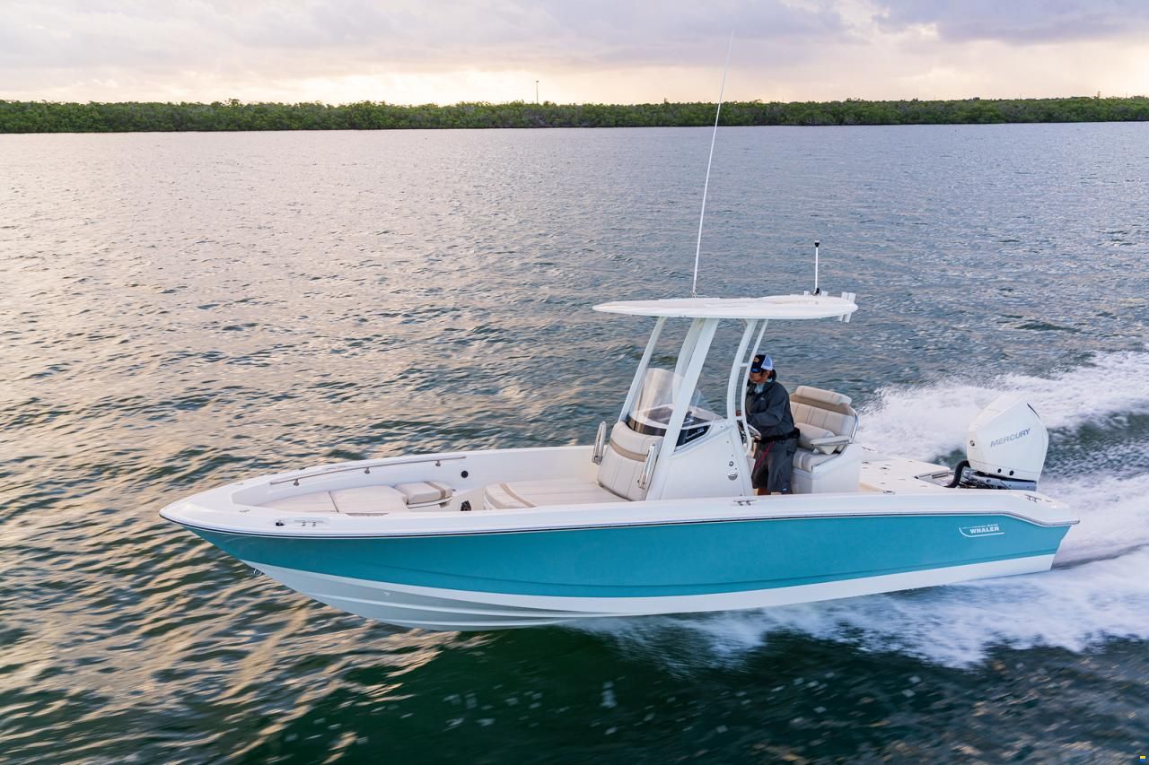 Boston Whaler 250 DAUNTLESS
