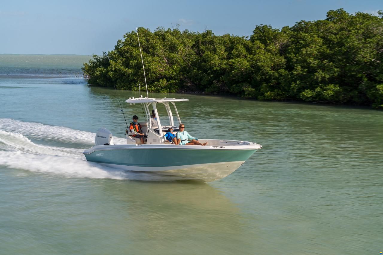 Boston Whaler 250 DAUNTLESS