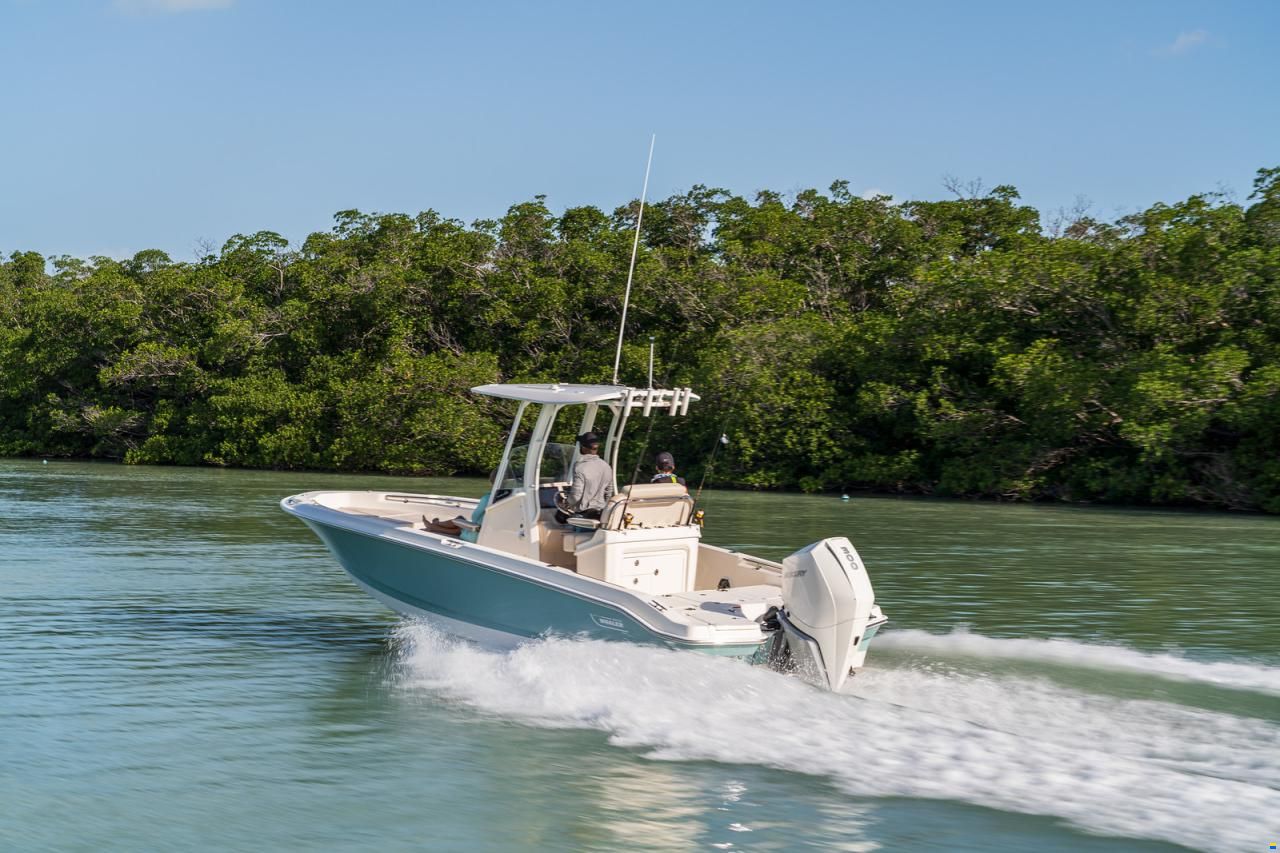 Boston Whaler 250 DAUNTLESS