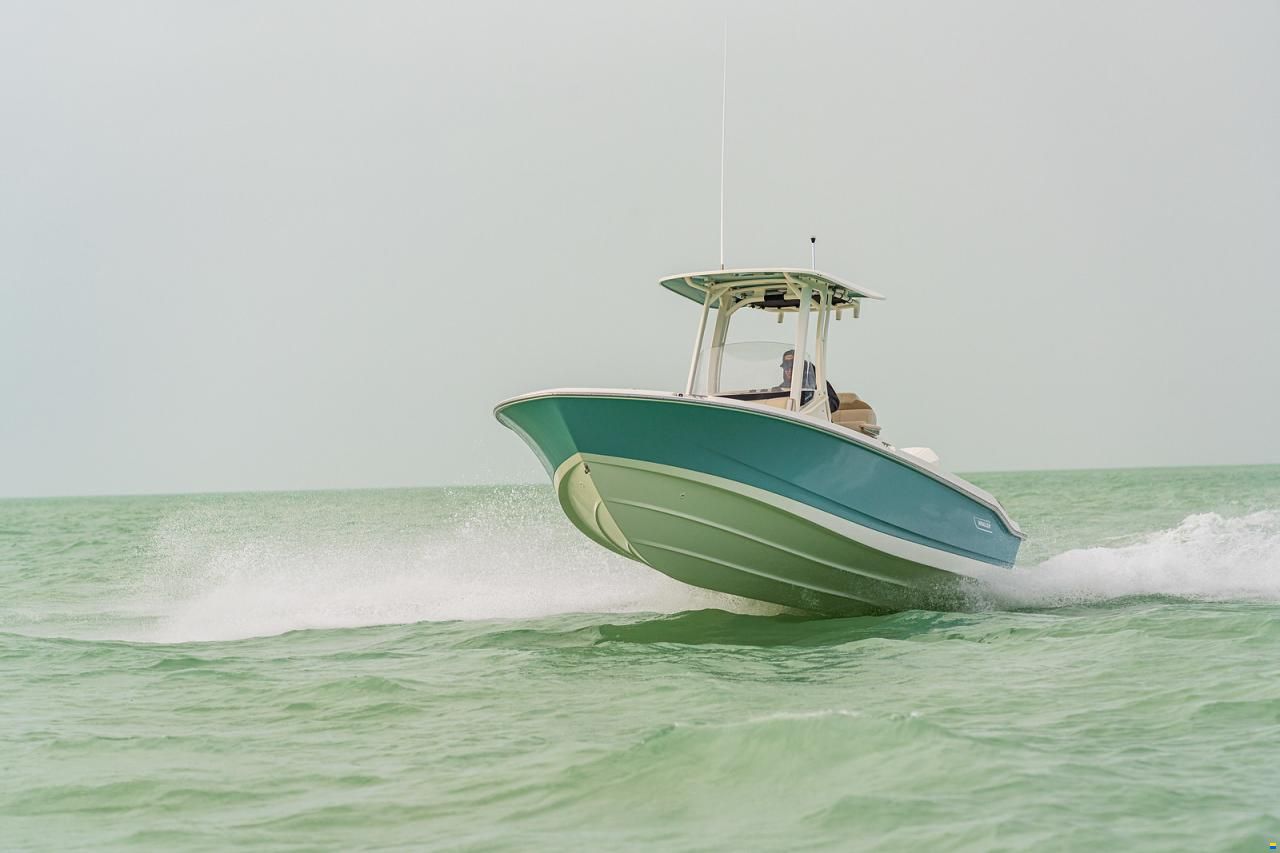 Boston Whaler 250 DAUNTLESS
