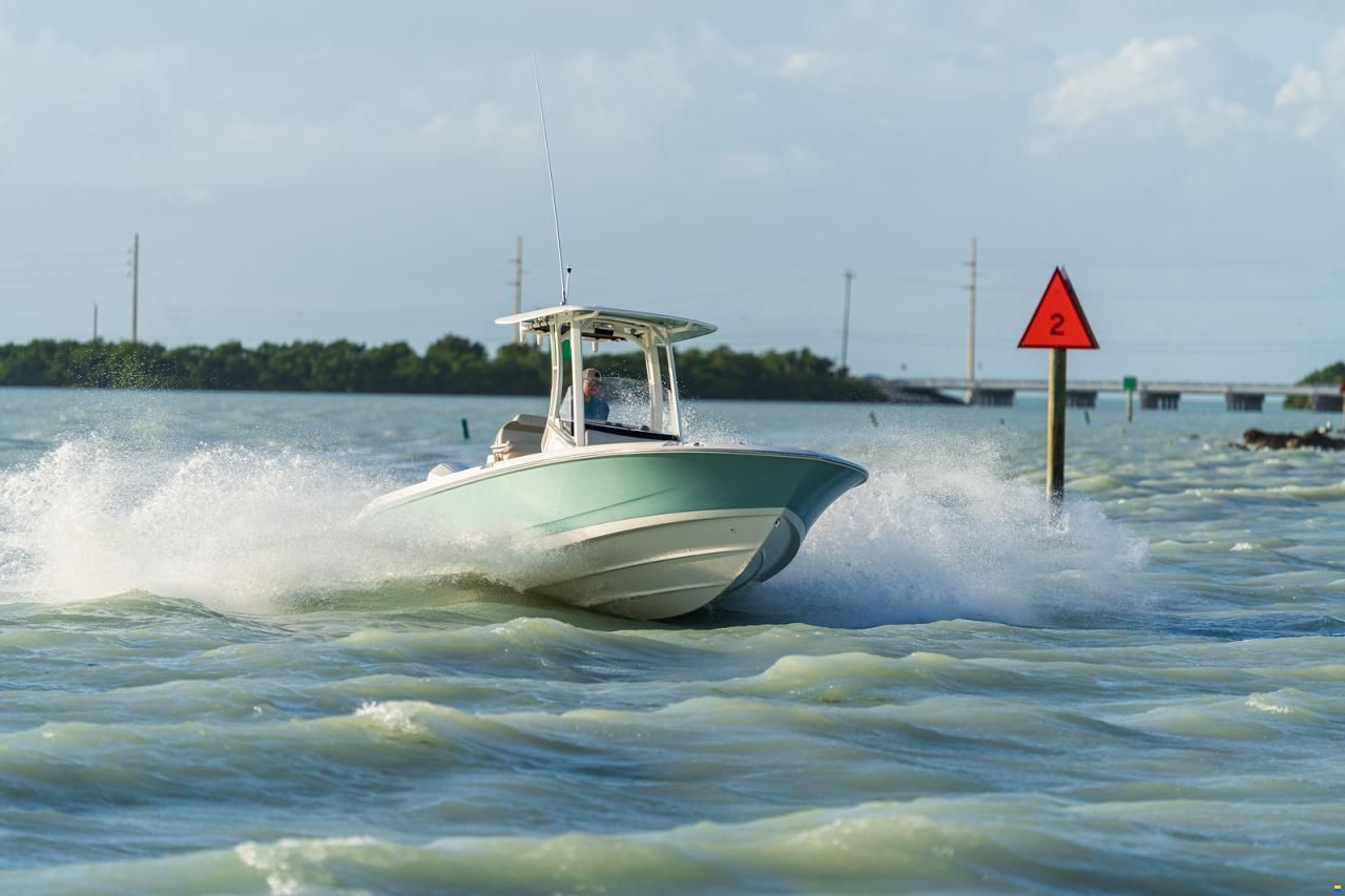 Boston Whaler 250 DAUNTLESS