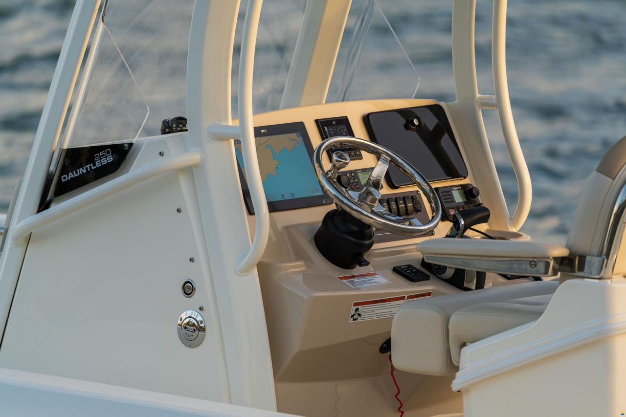 Boston Whaler 250 DAUNTLESS