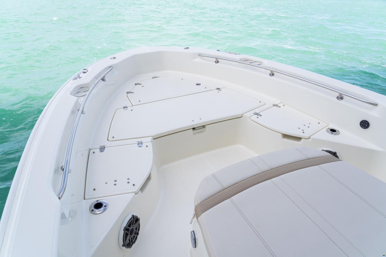 Boston Whaler 250 DAUNTLESS