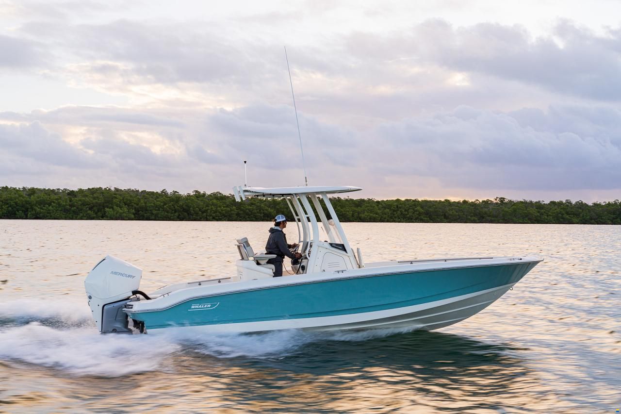 Boston Whaler 250 DAUNTLESS