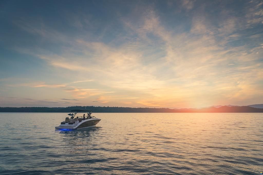 Sea Ray SDX 290 2024