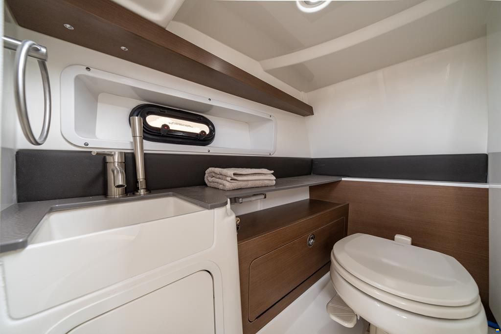 Sea Ray SDX 290 2024