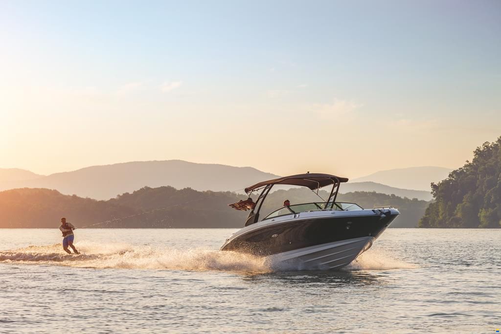 Sea Ray SDX 290 2024