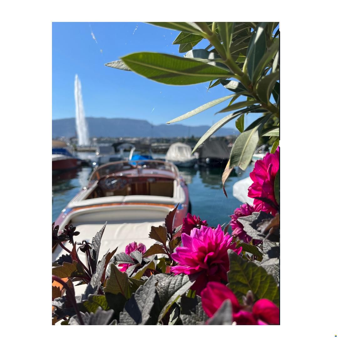 Places d'amarrage à Genève centre