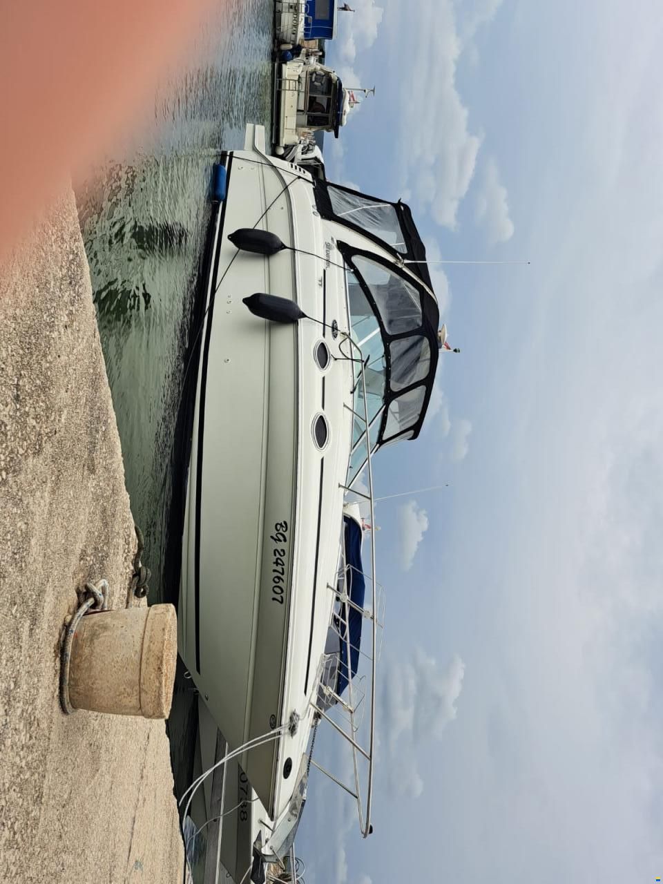 Sea Ray 260