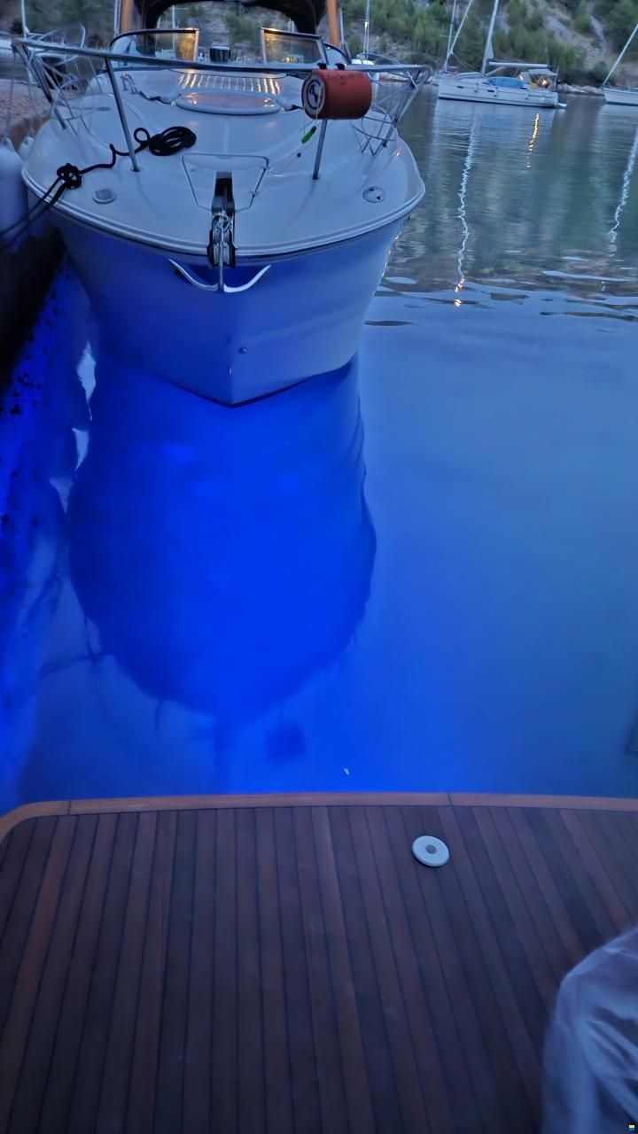 Sea Ray 260