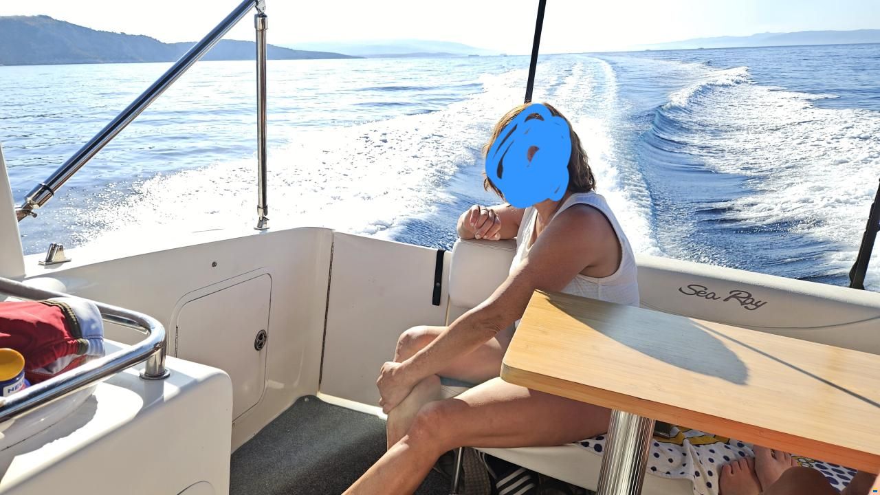 Sea Ray 260