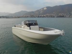 Mercury Verado V8-250 PS