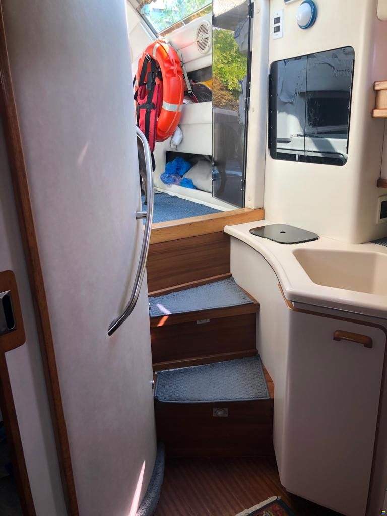 Sea Ray 440 SD