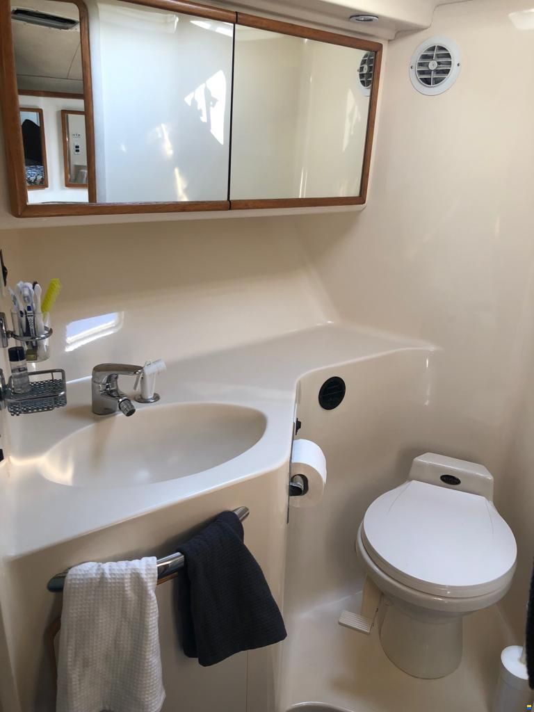 Sea Ray 440 SD
