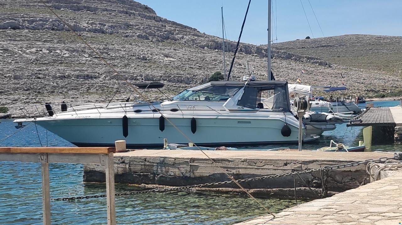 Sea Ray 440 SD