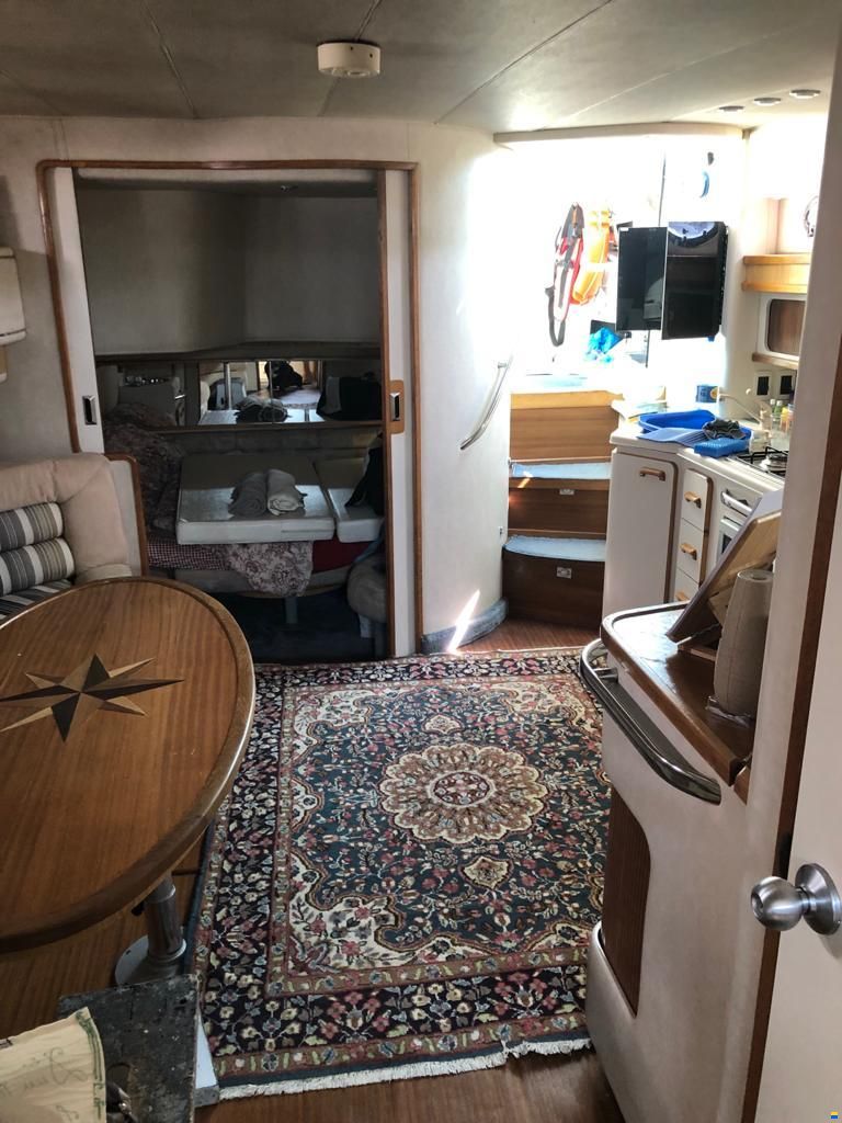 Sea Ray 440 SD