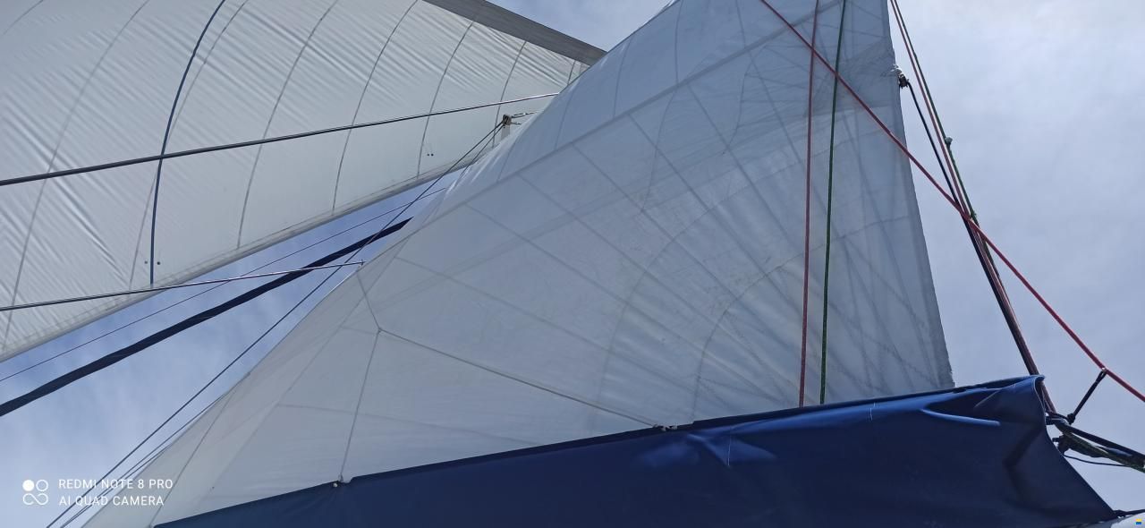 Catana 55