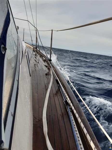 Hallberg-Rassy Monsun 31