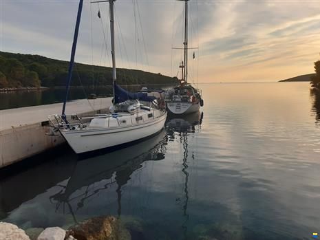 Hallberg-Rassy Monsun 31