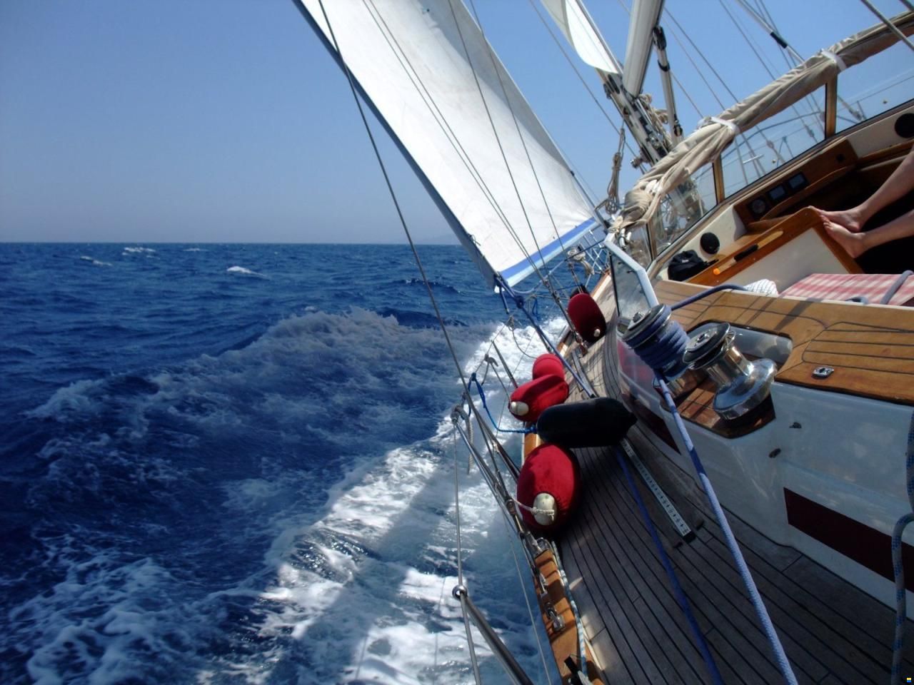 Najad Aphrodite 51
