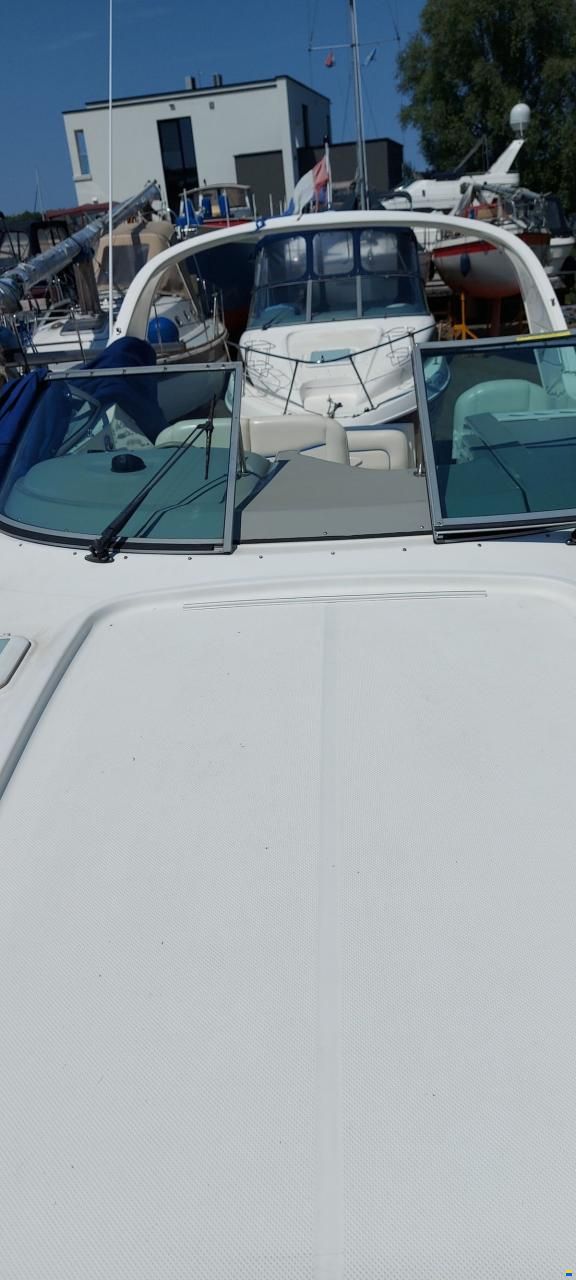 Bayliner 305