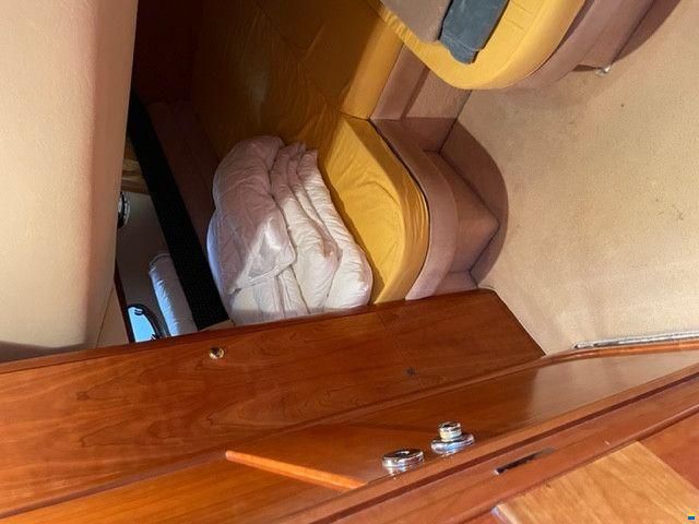 Windy Grand Mistral 37