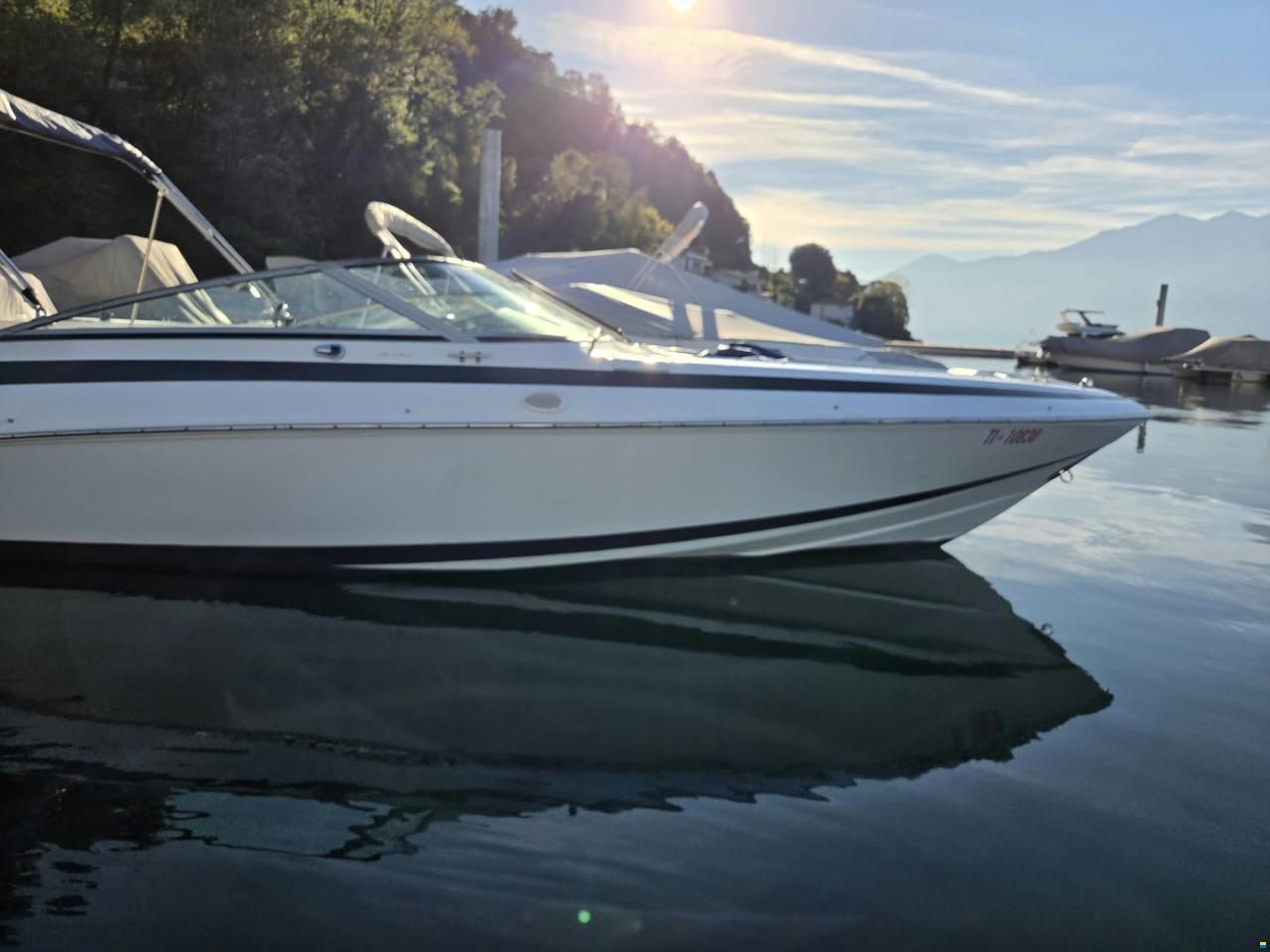 Cobalt 220