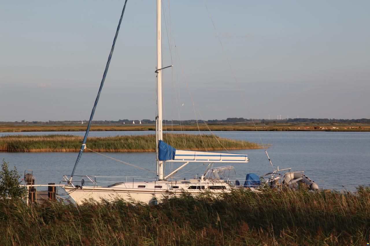 Catalina 42