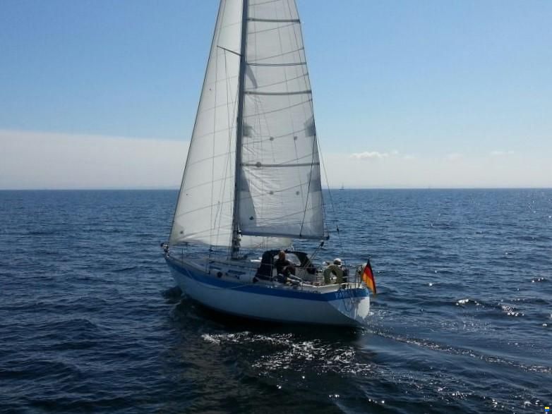 Wauquiez Gladiateur 33