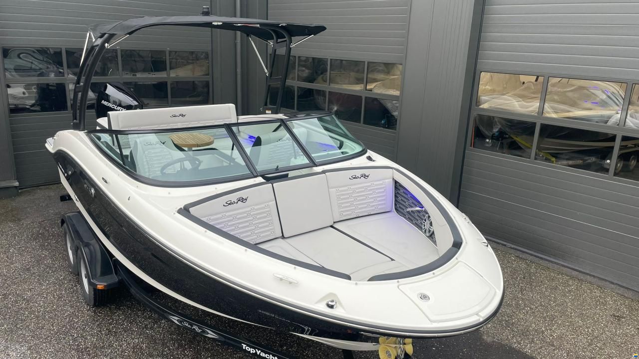 Sea Ray SPX 210 Outboard
