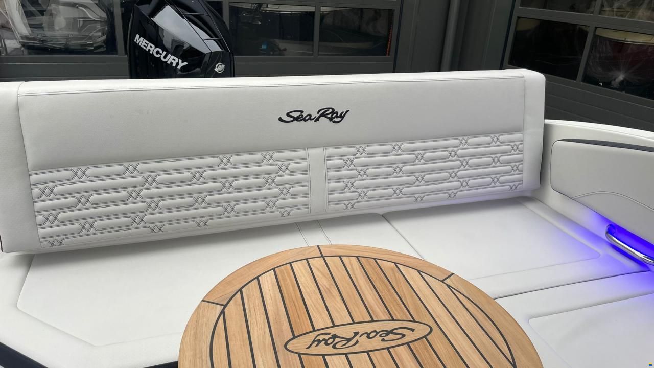 Sea Ray SPX 210 Outboard