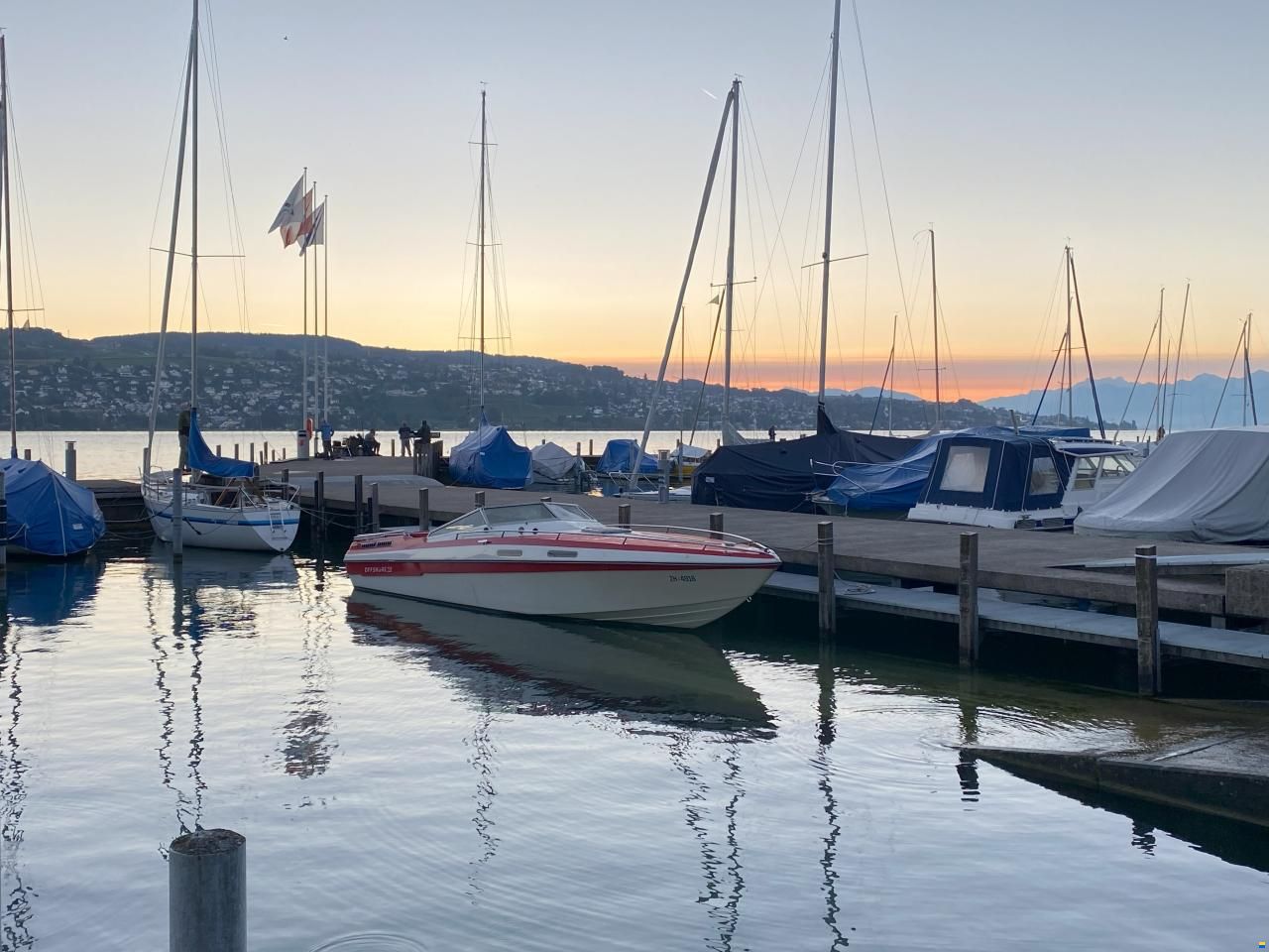 Schweizer Saphir 810 Offshore