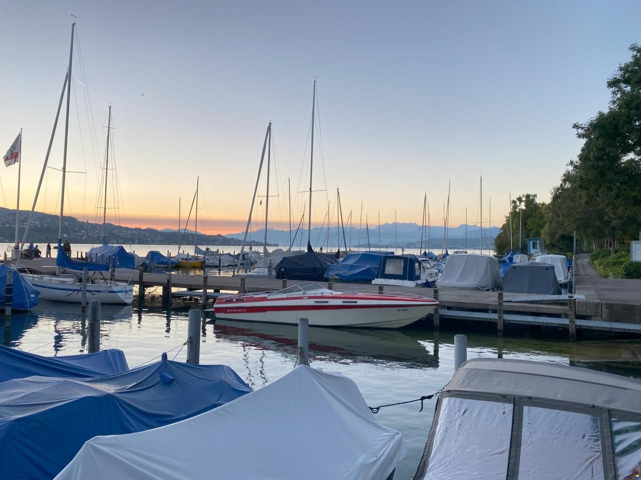 Schweizer Saphir 810 Offshore