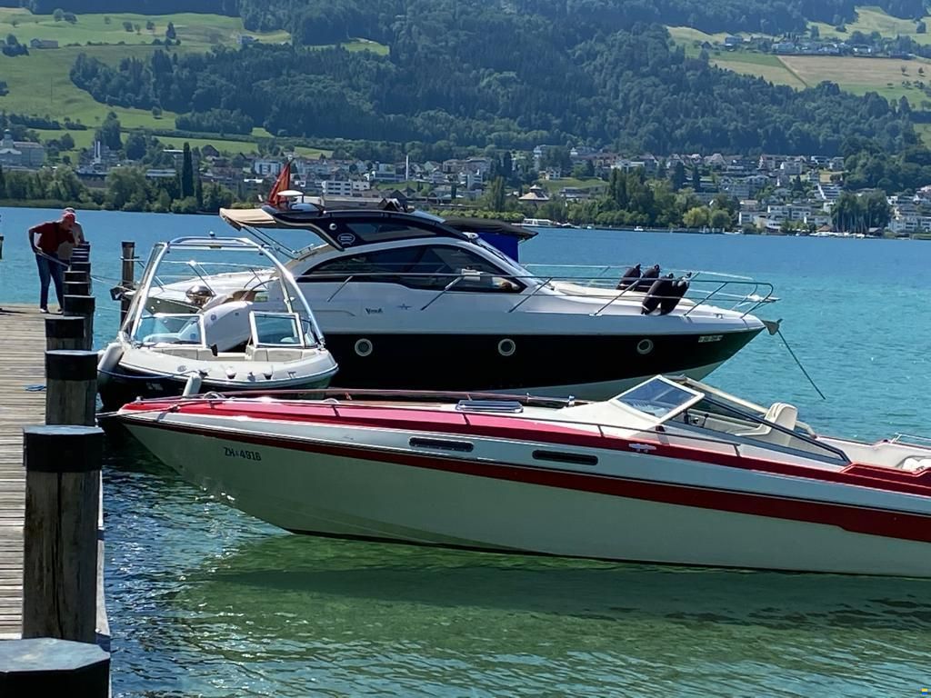 Schweizer Saphir 810 Offshore