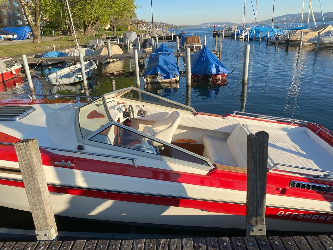 Schweizer Saphir 810 Offshore