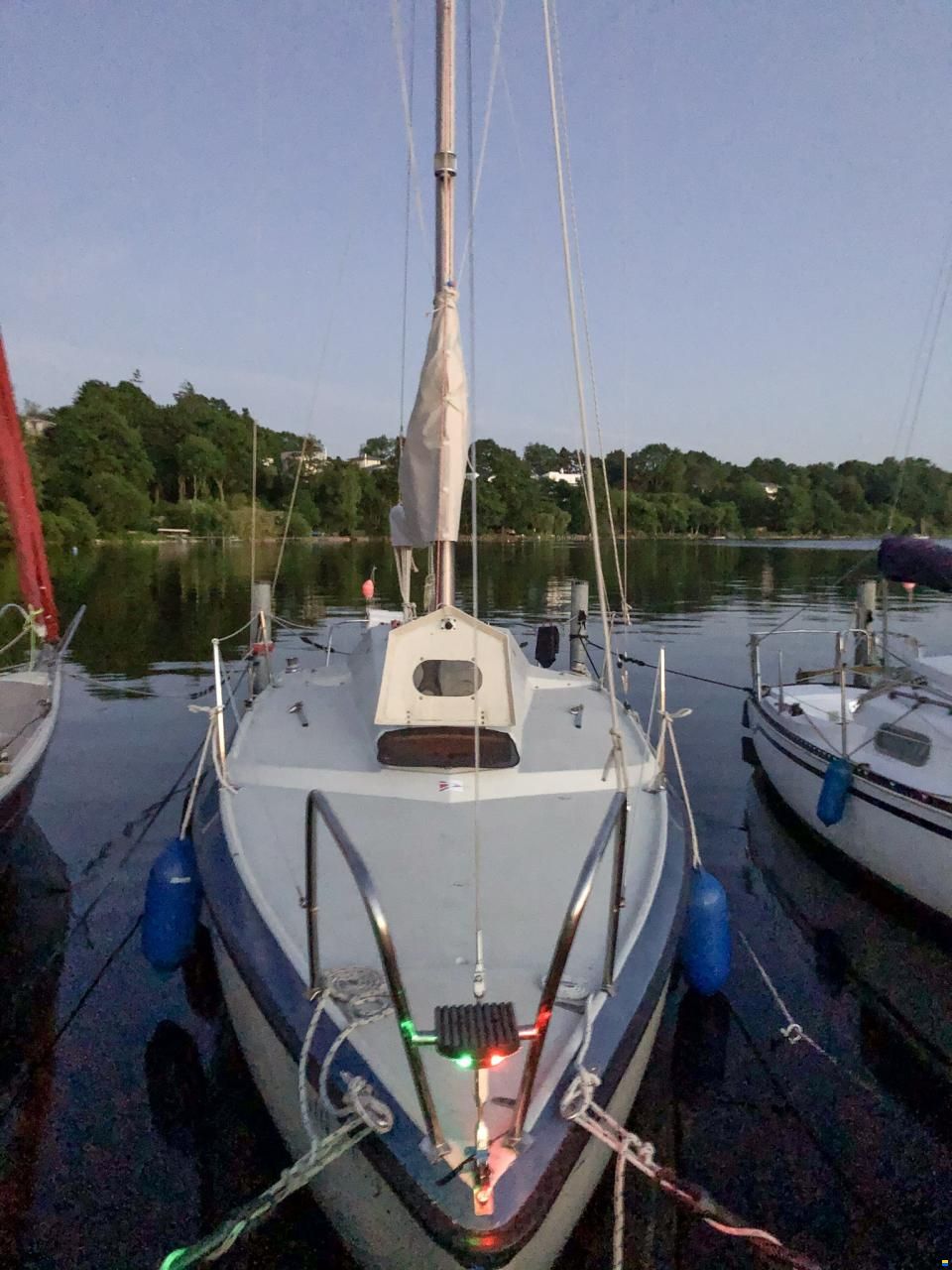 Pelle Peterson MAXI77