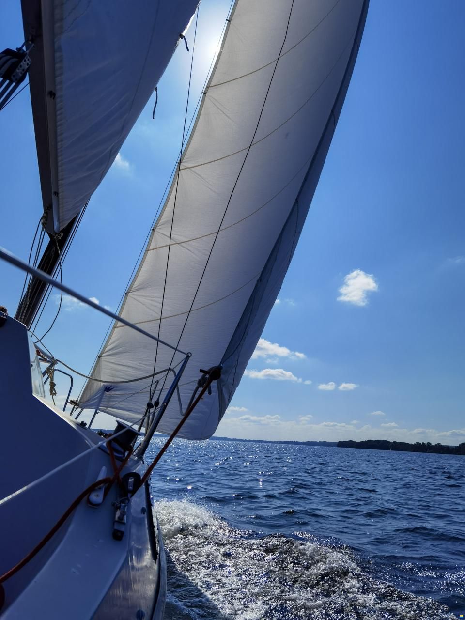 Pelle Peterson MAXI77