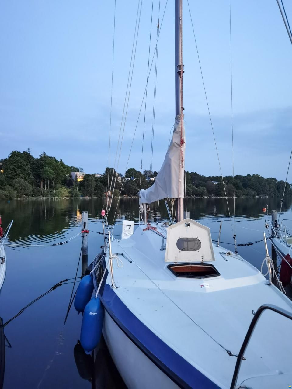 Pelle Peterson MAXI77