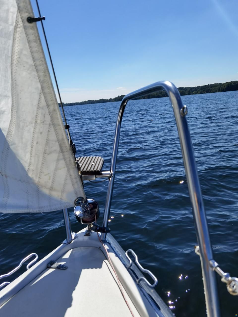 Pelle Peterson MAXI77