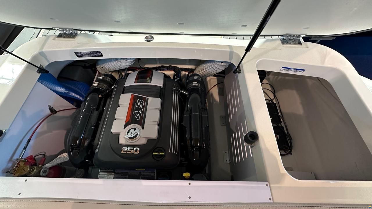 Sea Ray SPXE 190-