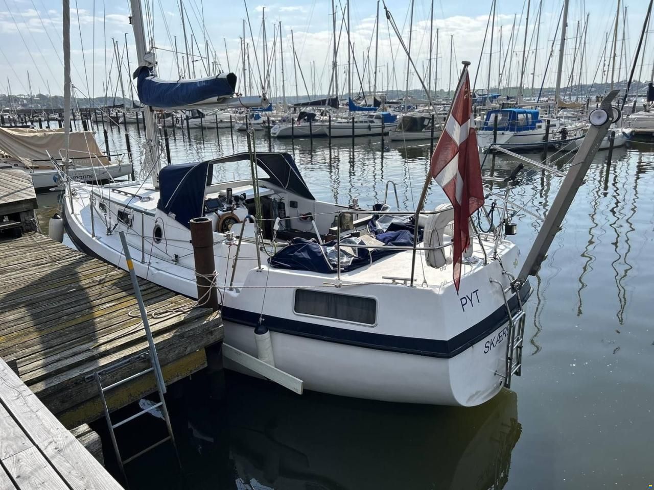 Compass 31