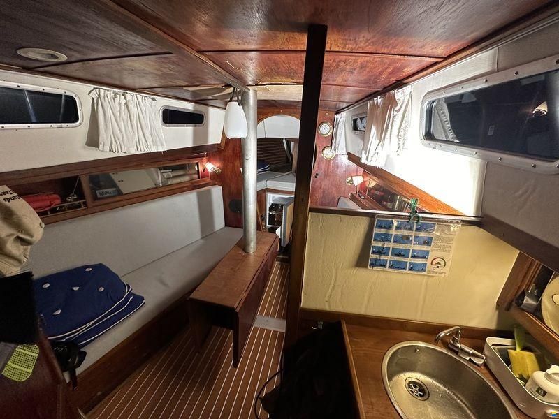 Compass 31