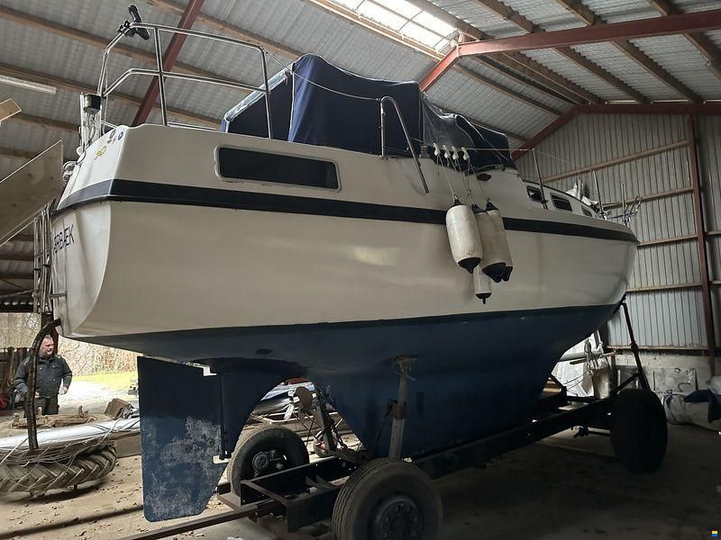 Compass 31