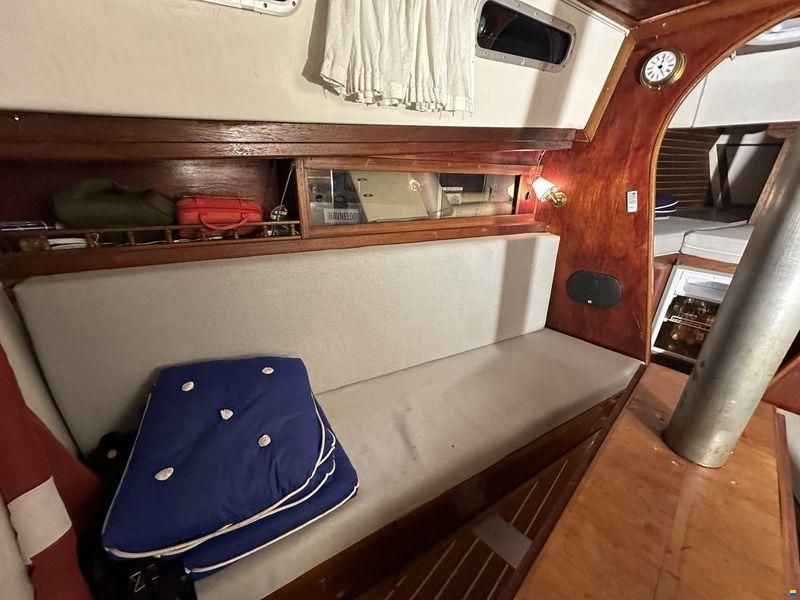 Compass 31
