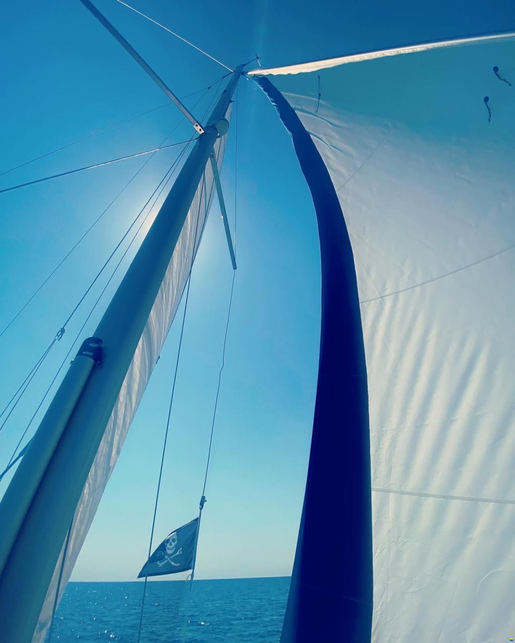 Imexus 28 Powersailer