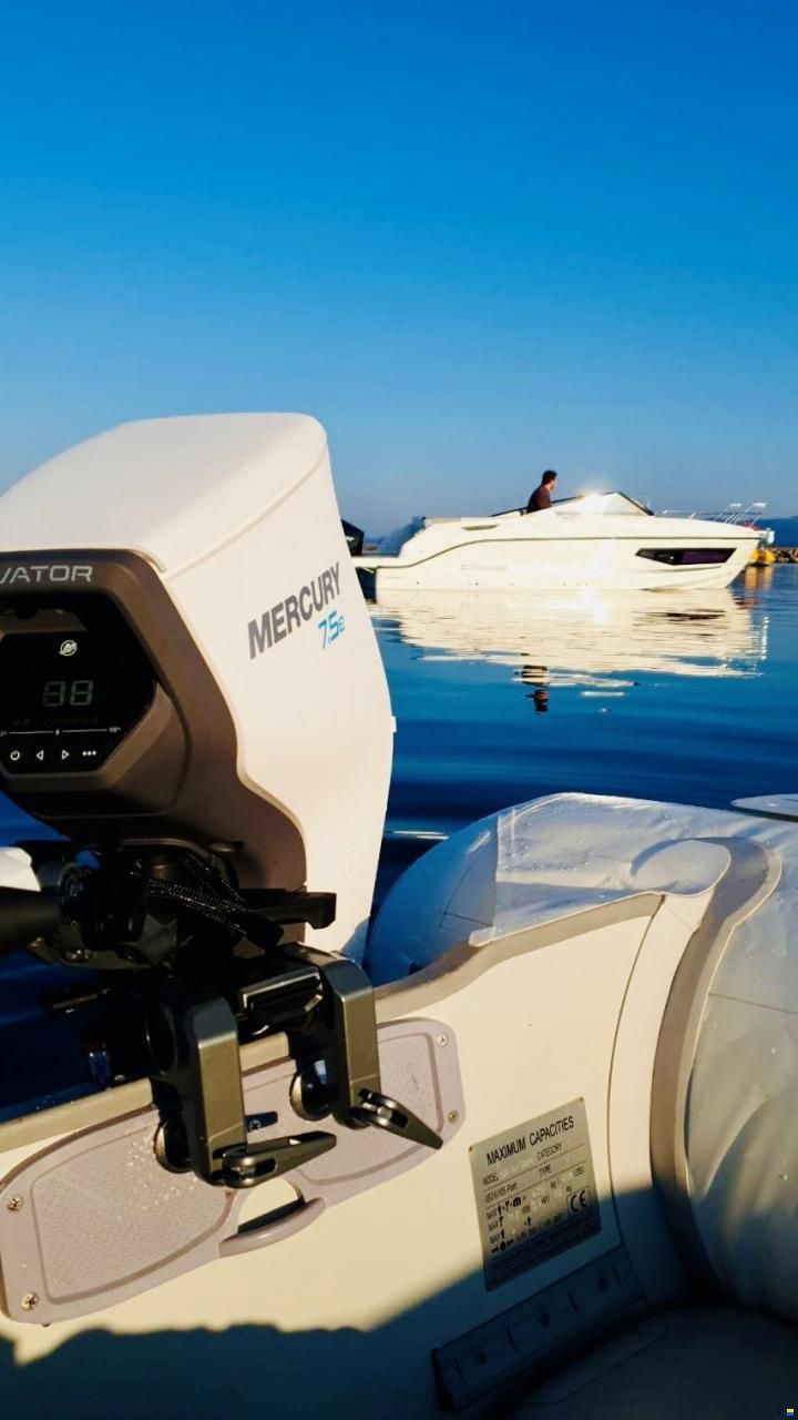 Mercury Avator 7.5 E